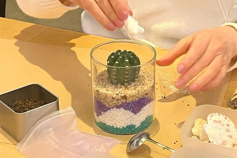Two hands settle a small cactus into a glass jar of layered purple, white and green sand on a workshop table, with a spoon, a tin of soil and a dish of shells beside it.