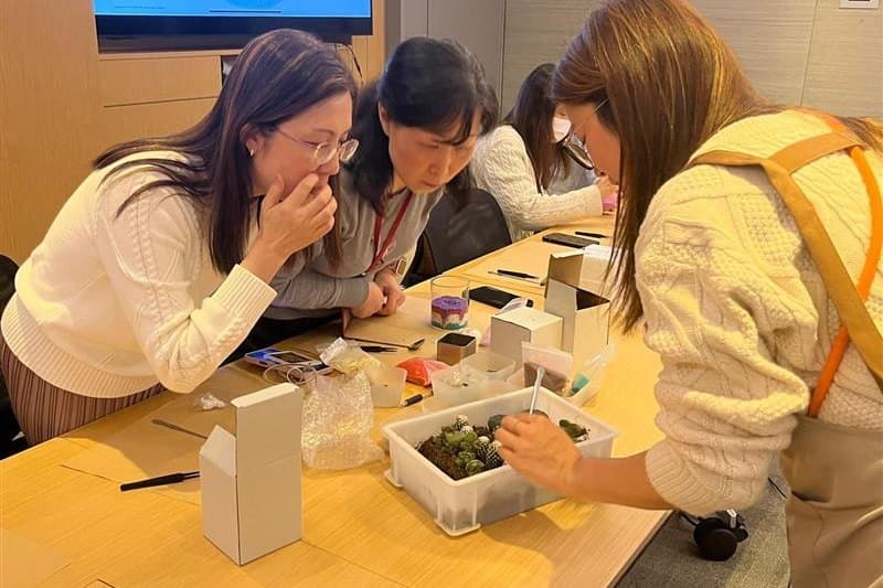 Three people lean in together over a meeting-room table, looking at a tray of small succulents and a spread of boxes, tools and pots as one of them lifts a plant out.